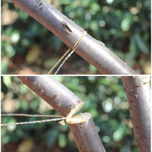 Load image into Gallery viewer, Outdoor Survival Wire Saw