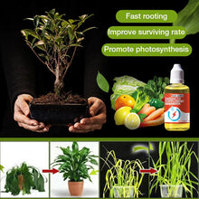 Load image into Gallery viewer, Plant Growth Enhancer Supplement