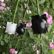 Load image into Gallery viewer, Air Layering Plant Propagator Pod