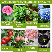 Load image into Gallery viewer, Plant Growth Enhancer Supplement