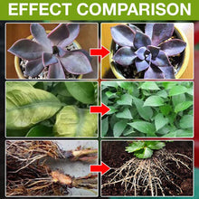 Load image into Gallery viewer, Plant Growth Enhancer Supplement