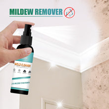 Load image into Gallery viewer, Mold Cleaner for Furniture Tiles