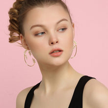 Load image into Gallery viewer, Shiny Zircon  Earrings