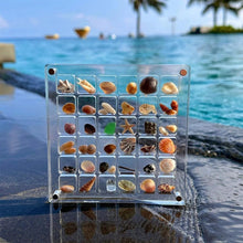 Load image into Gallery viewer, Acrylic Magnetic Seashell Display Box
