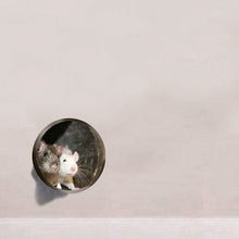 Load image into Gallery viewer, Realistic 3D Mouse Hole Wall Stickers