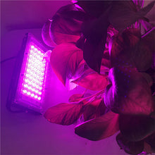 Load image into Gallery viewer, Full Spectrum Plant Growth Light