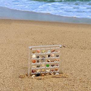 Acrylic Magnetic Seashell Display Box