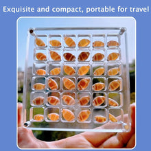 Load image into Gallery viewer, Acrylic Magnetic Seashell Display Box