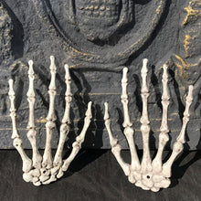Load image into Gallery viewer, Skeleton Hands Scary Props