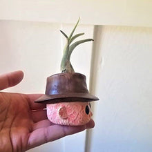 Load image into Gallery viewer, Horror Movie Planter Mini Planter Gift