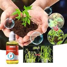 Load image into Gallery viewer, Plant Growth Enhancer Supplement