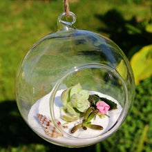 Load image into Gallery viewer, Hanging Glass Plant Pots