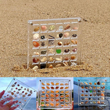 Load image into Gallery viewer, Acrylic Magnetic Seashell Display Box