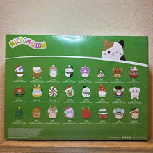 Load image into Gallery viewer, Holiday Advent Calendar 2024