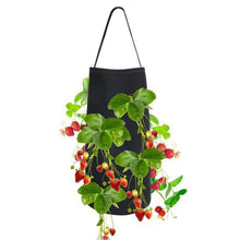 Load image into Gallery viewer, Hanging Strawberry Planting Bag