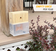 Load image into Gallery viewer, Carpenter Bee Trap