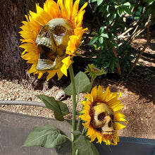 Load image into Gallery viewer, DIY Sunflower Skeletons Decor