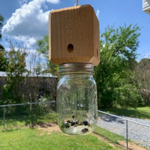 Load image into Gallery viewer, Best Carpenter Bee Trap