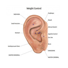 Load image into Gallery viewer, Acupressure Magnet Earrings (One Pair)