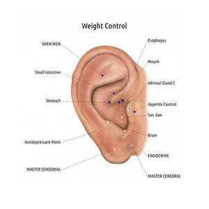 Acupressure Magnet Earrings (One Pair)