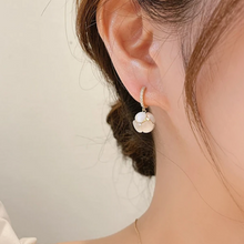 Load image into Gallery viewer, Exquisite Diamond Earrings