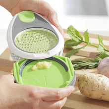 Load image into Gallery viewer, Stainless steel ginger