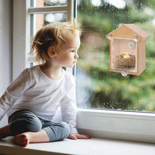 Load image into Gallery viewer, DIY Sucker Bird Nest