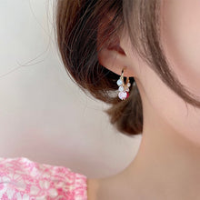 Load image into Gallery viewer, Shiny Diamon Drop Earrings