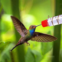 Load image into Gallery viewer, Window Hummingbird Feeder