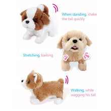 Load image into Gallery viewer, Realistic Teddy Dog Lucky