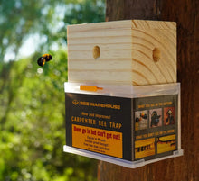 Load image into Gallery viewer, Carpenter Bee Trap