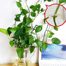 Load image into Gallery viewer, Plant Climbing Wall Clip