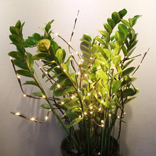 Load image into Gallery viewer, LED Decorative Twig Light