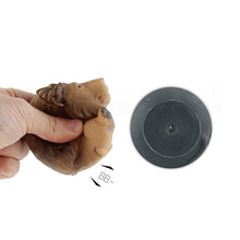 Load image into Gallery viewer, Cartoon Animal Model Toys