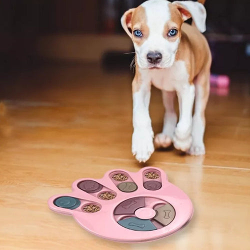 Interactive Training Pet Feeder