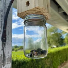 Load image into Gallery viewer, Best Carpenter Bee Trap
