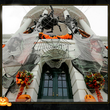 Load image into Gallery viewer, Halloween Decoration Scary Cobwebs
