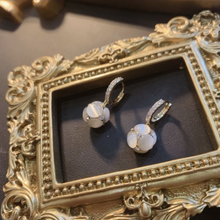 Load image into Gallery viewer, Exquisite Diamond Earrings