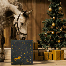Load image into Gallery viewer, 🐎Horse Supplies Advent Calendar 2024