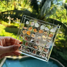 Load image into Gallery viewer, Acrylic Magnetic Seashell Display Box