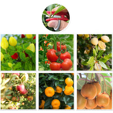 Load image into Gallery viewer, Garden Picking Ring Device