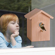 Load image into Gallery viewer, DIY Sucker Bird Nest