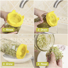 Load image into Gallery viewer, Microgreens Sprouting Jar Lid