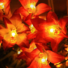 Load image into Gallery viewer, Solar-Powered LED Bee String Lights