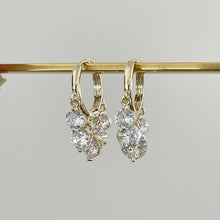 Load image into Gallery viewer, Shiny Diamon Drop Earrings