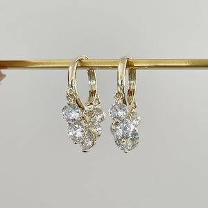 Shiny Diamon Drop Earrings