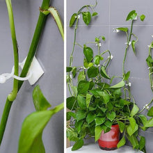 Load image into Gallery viewer, Plant Climbing Wall Clip