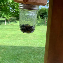 Load image into Gallery viewer, Best Carpenter Bee Trap