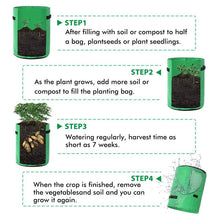 Load image into Gallery viewer, Vegetables Planter Bag