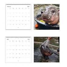Load image into Gallery viewer, Moo Deng Calendar